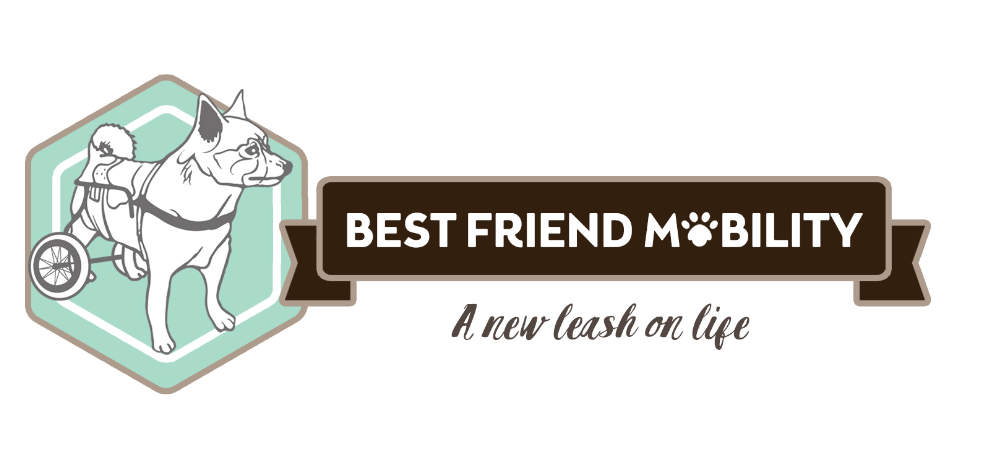 Wheelchairs for Dogs | Best Friend Mobility
