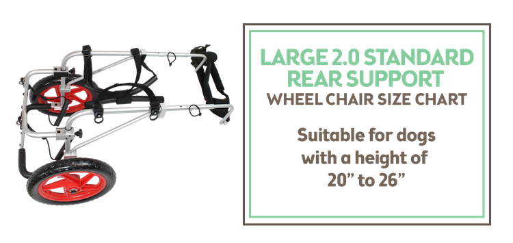 Standard Rear Support Wheelchair 2.0 Large