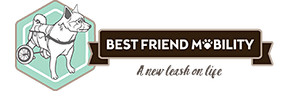 Best Friend Mobility