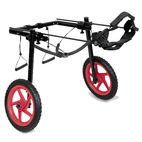 Pro Rear Support Wheelchair Large Best Friend Mobility