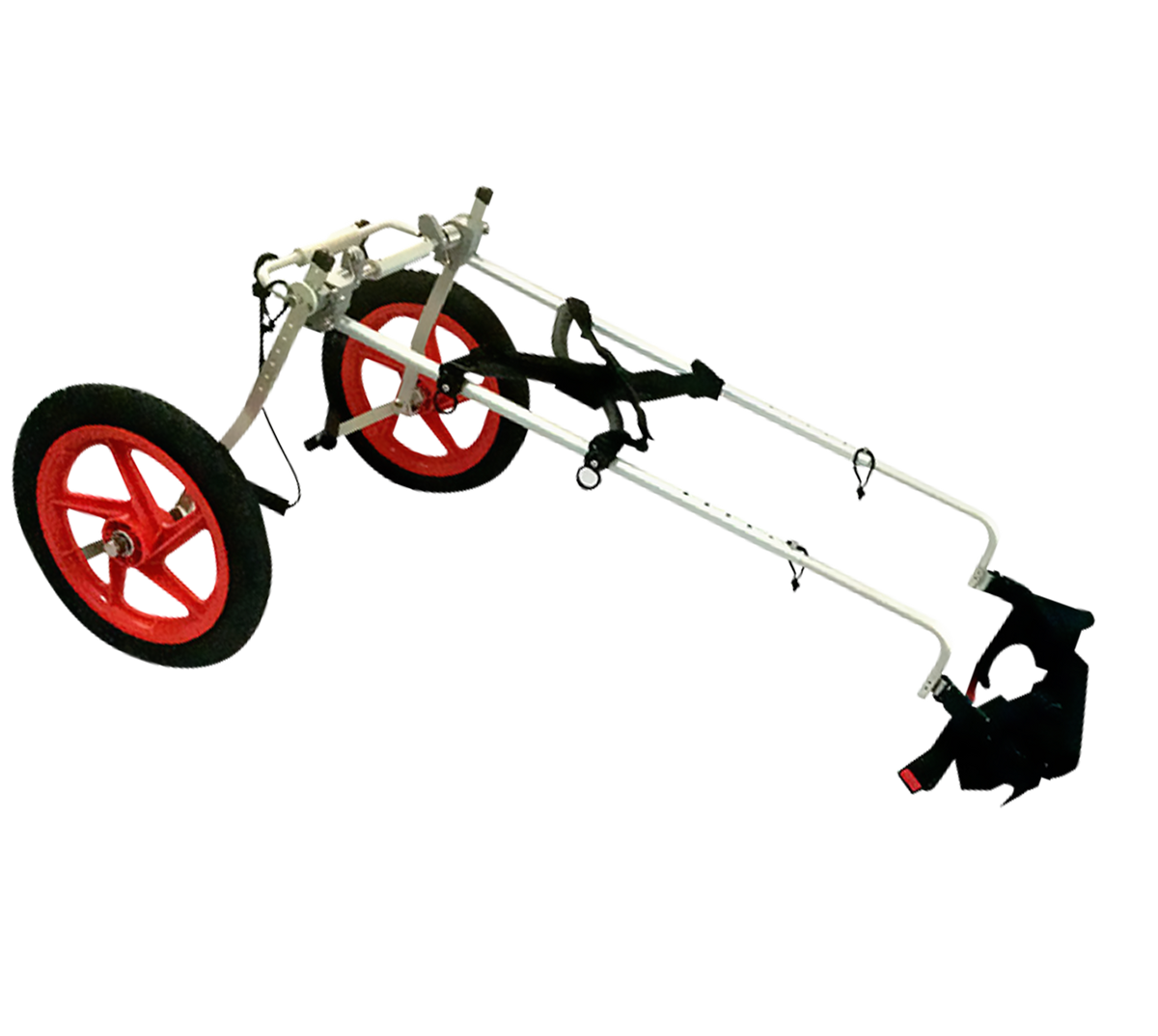 Sitgo dog deals wheelchair