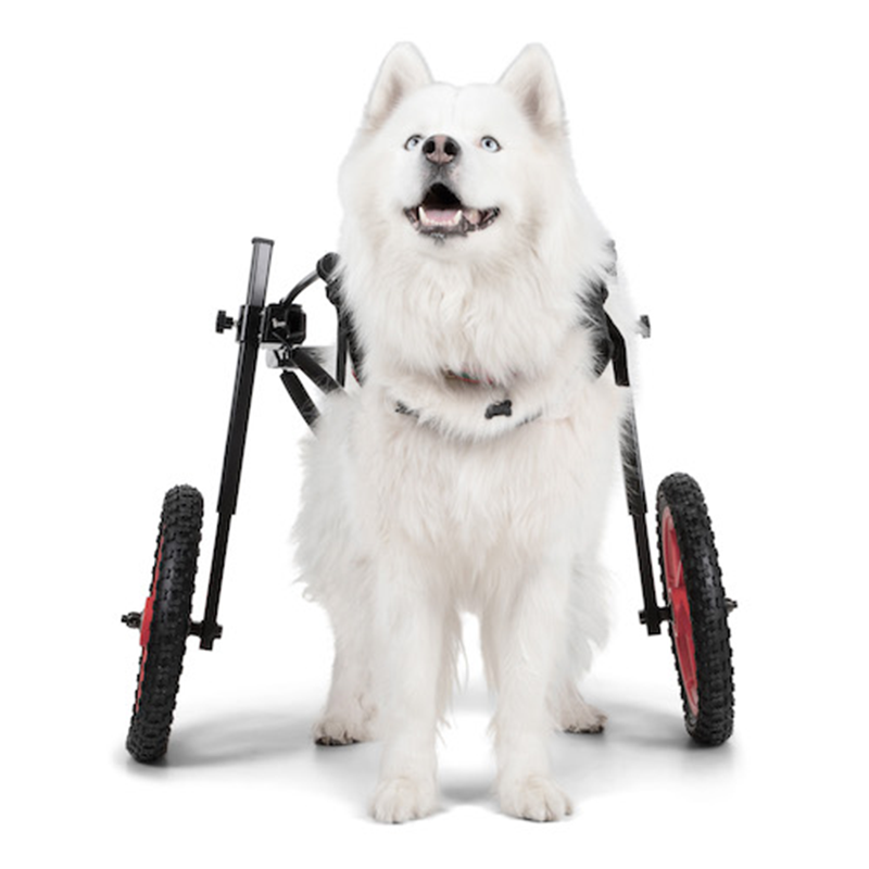 Pro Rear Support Wheelchair | Best Friend Mobility