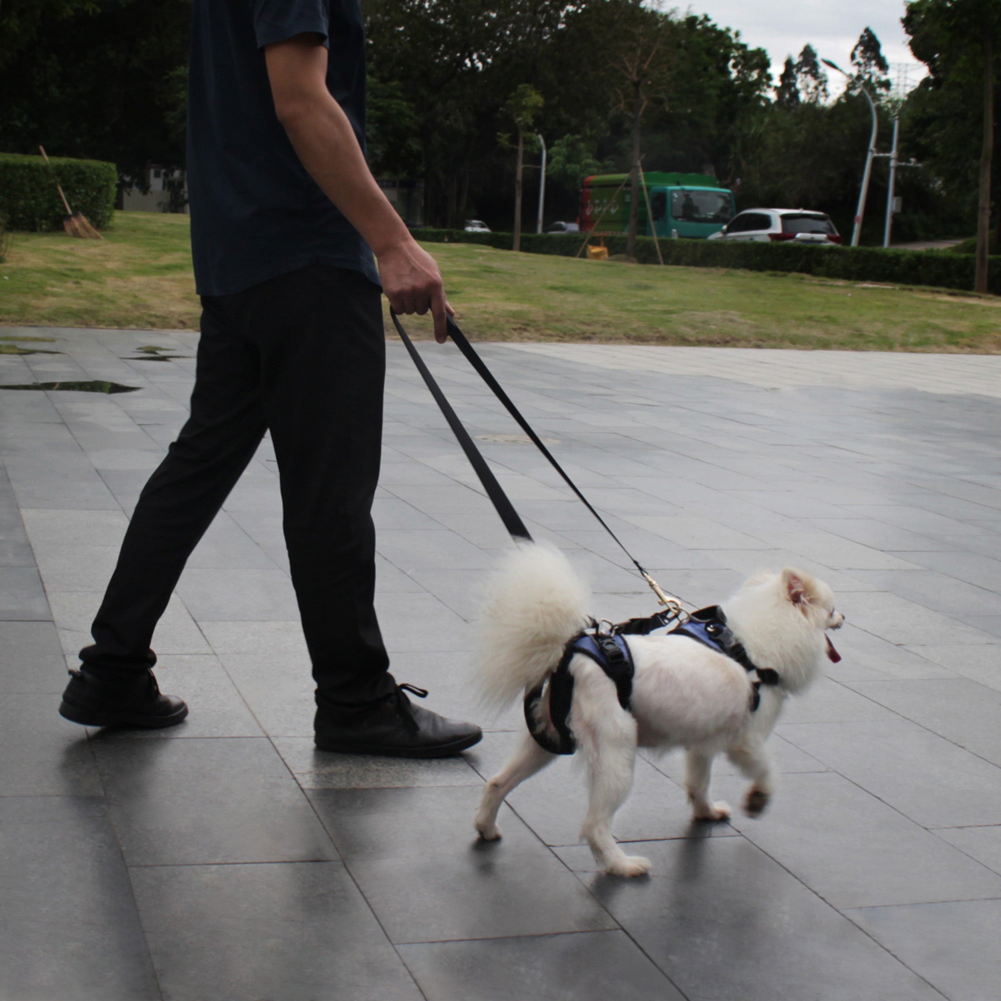 Pro Full-Body Dog Lifting Harness