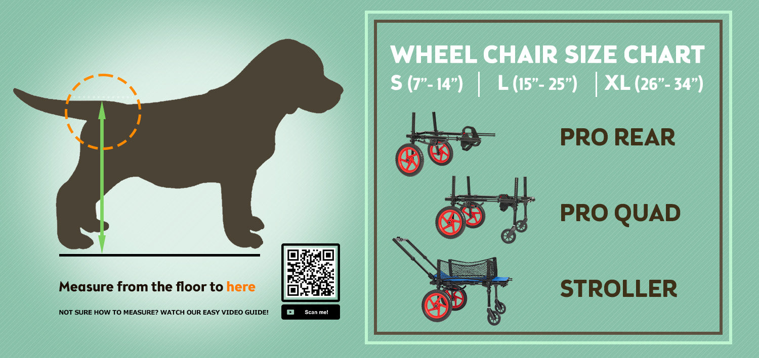 Pro Rear Support Wheelchair