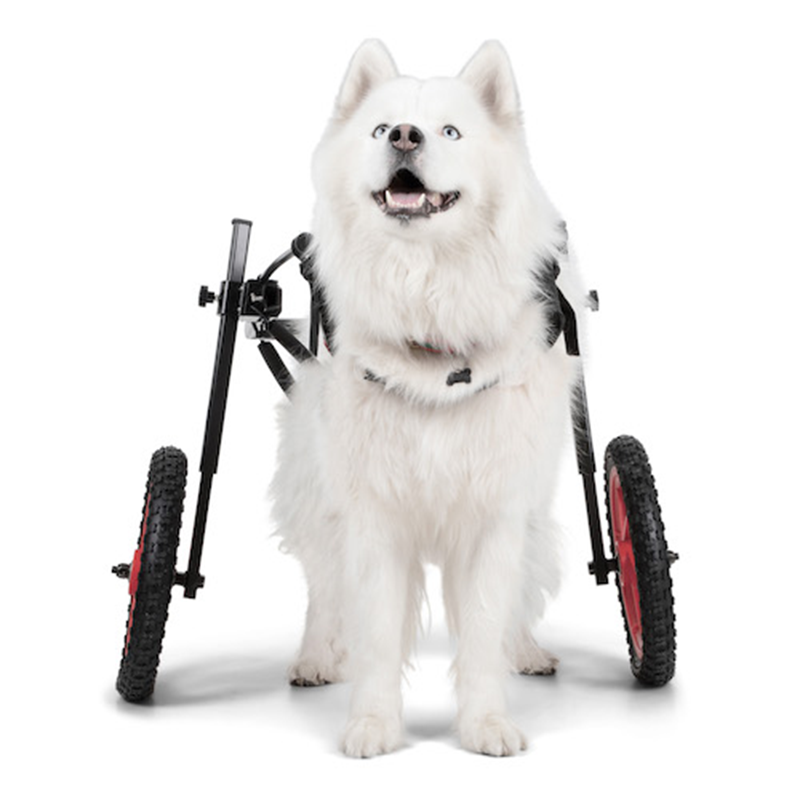 Pro Rear Support Wheelchair