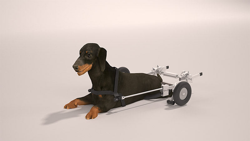 SitGo Rear Leg Support DogWheelchair XS